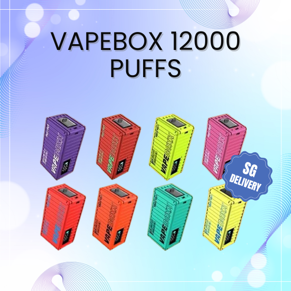 Vapeboxx 12000 Puffs disposable vape with smart digital screen and chrome body
