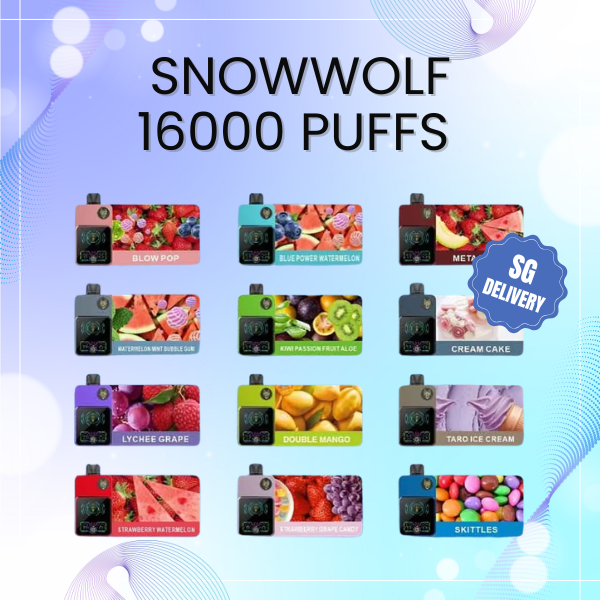Snowwolf 16000 Puffs Smart Disposable Vape with HD Screen Indicator